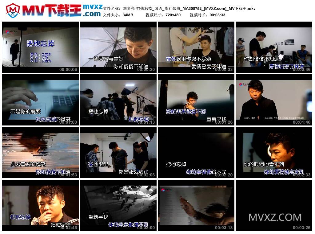 刘嘉亮-把他忘掉_国语_流行歌曲_MA300752